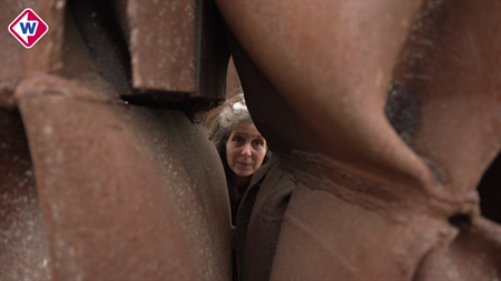 Vijf Beelden op een Kromme van Frans de Wit op TV West